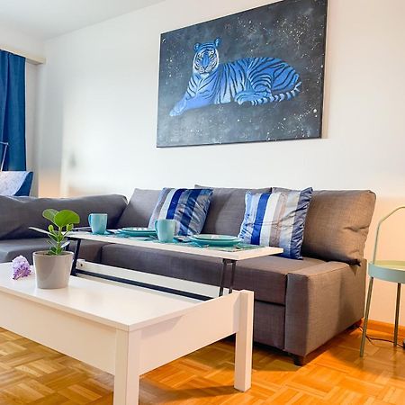 Special Blue Tiger Apartment Basel, Messe Kleinbasel 10-Star 外观 照片