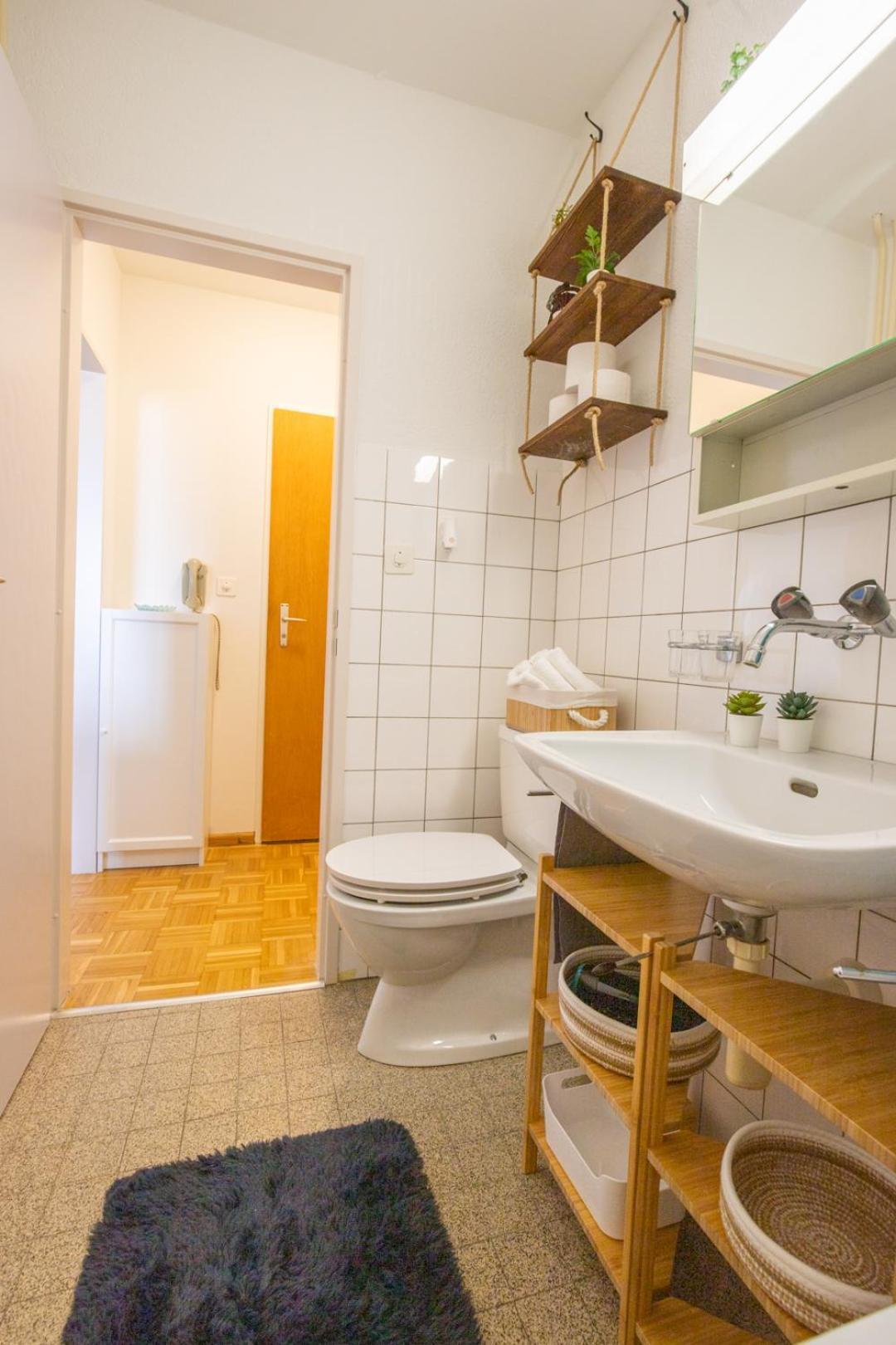 Special Blue Tiger Apartment Basel, Messe Kleinbasel 10-Star 外观 照片